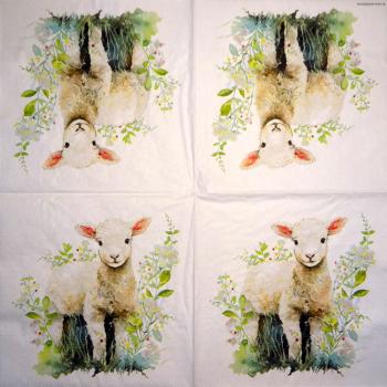 011 Sheep - 3-ply (11)